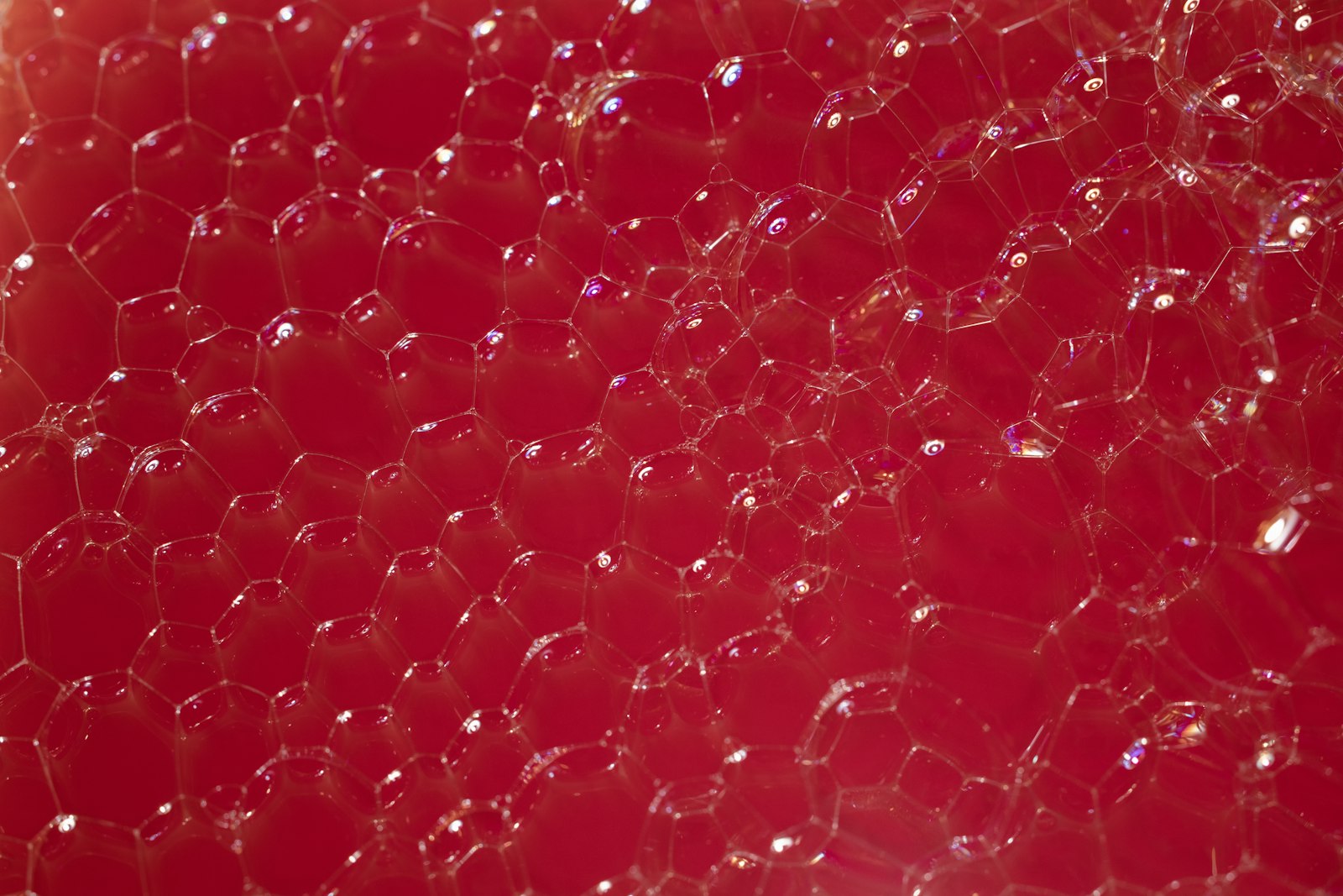 Alimentos fonte de vitamina D dispostos sobre mesa