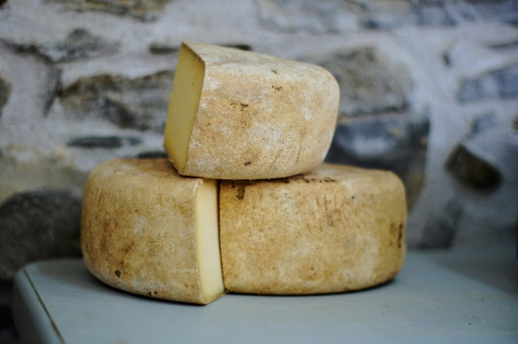 Peças de queijo curado, fonte alimentar de vitamina K2